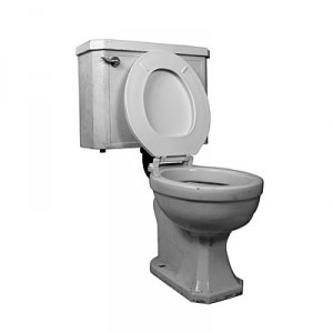 toilet-seat-up1